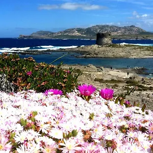 https://velalatina.in-sardinia.net